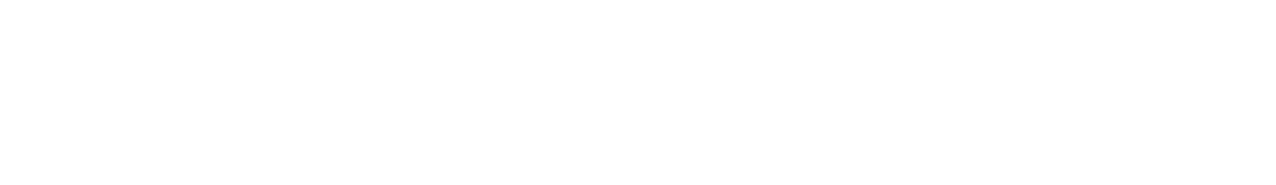 the america we love